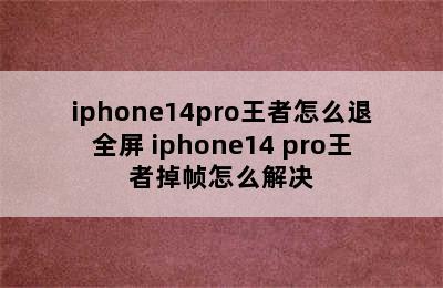 iphone14pro王者怎么退全屏 iphone14 pro王者掉帧怎么解决